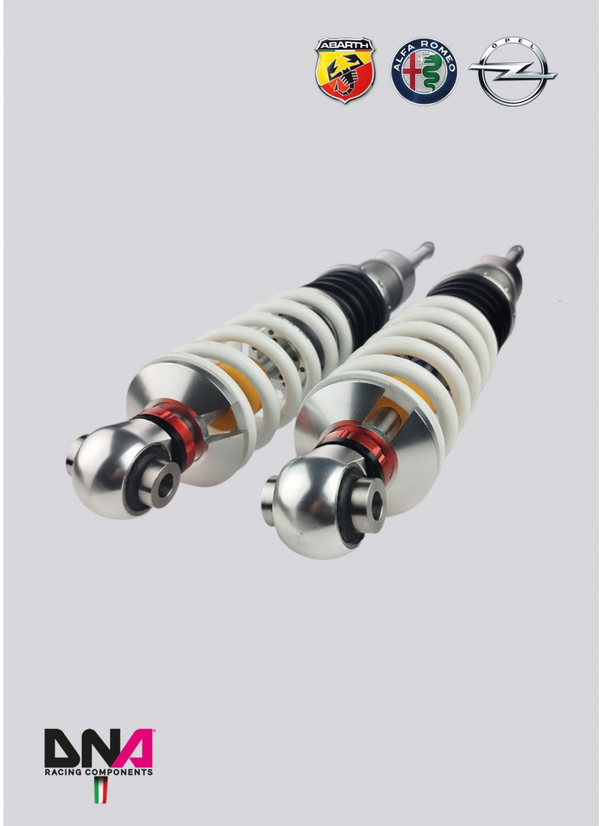 Abarth Punto WRS Coilover Kit - DNA Racing - Abarth Tuning