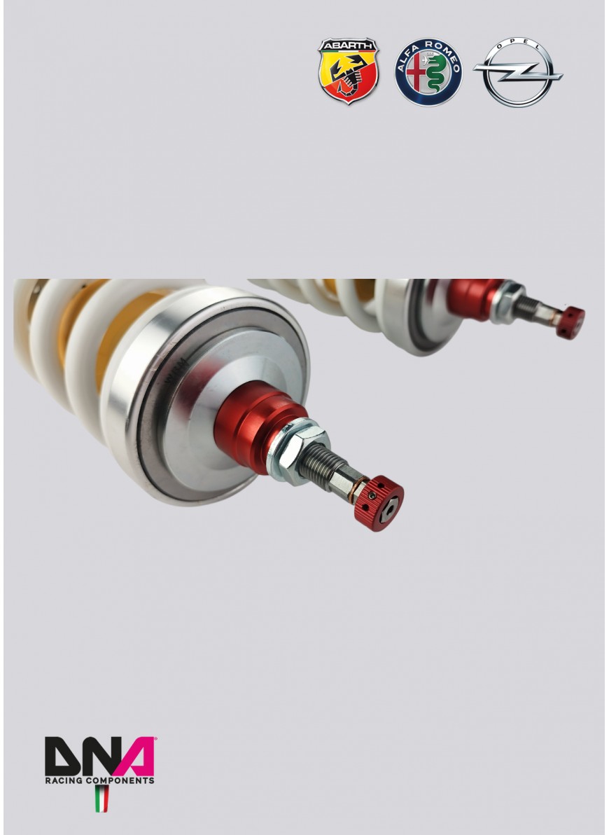 Abarth Punto WRS Coilover Kit - DNA Racing - Abarth Tuning