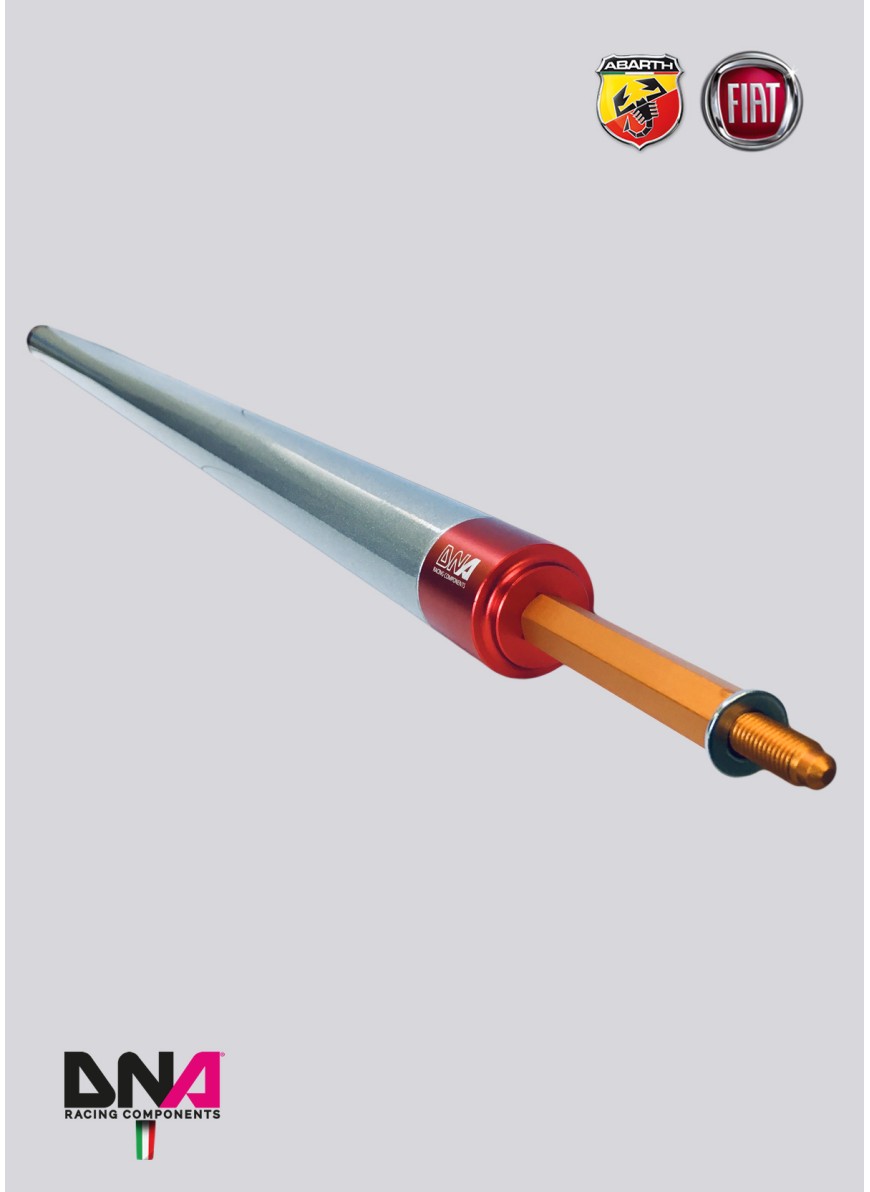 ABARTH 500 REAR STRUT BAR NO TIE RODS KIT WITHOUT REAR SEAT REMOVAL - DNA RACING - Abarth Tuning