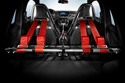 Genuine Abarth 695 Biposto Titanium Rear Harness / Roll Bar & Net Kit - Abarth Tuning