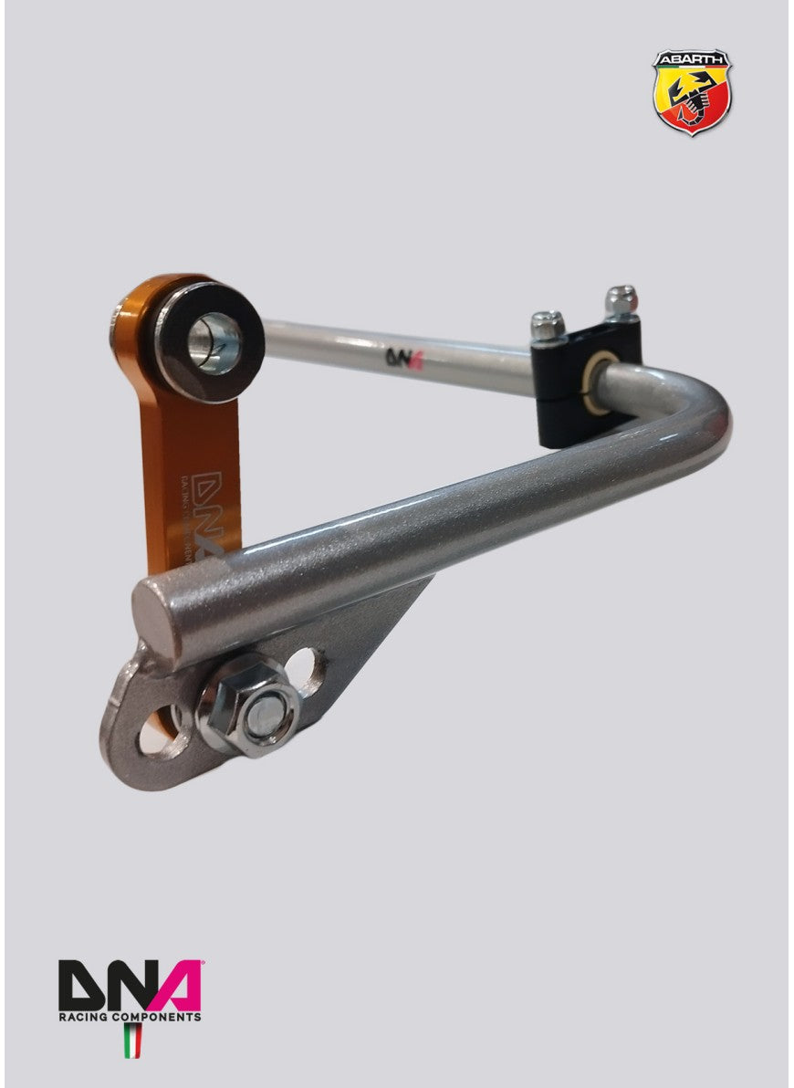 Abarth 500 / 595 / 695 Rear Adjustable Torsion Bar Kit - DNA RACING - Abarth Tuning