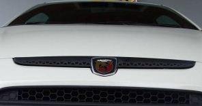 Genuine Abarth Badge Front Trim / Surround - Punto Evo Abarth - Abarth Tuning