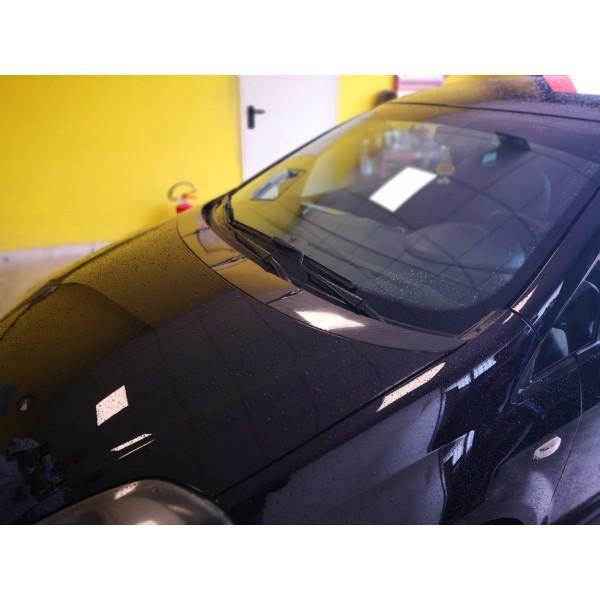 Abarth Punto Evo Carbon Lower Window Trim Deflector - Abarth Tuning
