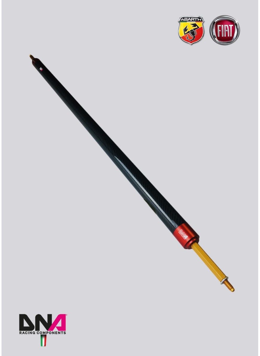 Abarth 500 / 595 / 695 Carbon REAR STRUT BAR WITHOUT TIE RODS KIT WITHOUT REAR SEAT REMOVAL - DNA RACING - Abarth Tuning