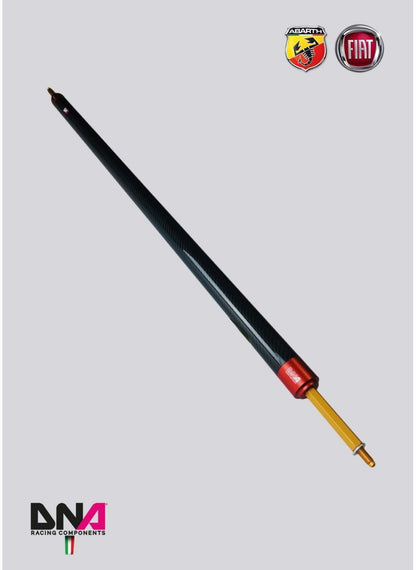 Abarth 500 / 595 / 695 Carbon REAR STRUT BAR WITHOUT TIE RODS KIT WITHOUT REAR SEAT REMOVAL - DNA RACING - Abarth Tuning