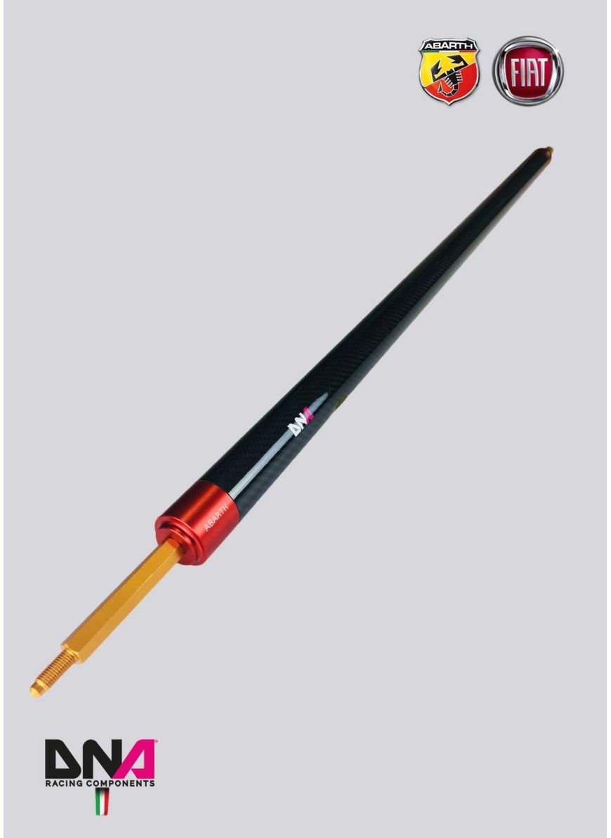 Abarth 500 / 595 / 695 Carbon REAR STRUT BAR WITHOUT TIE RODS KIT WITHOUT REAR SEAT REMOVAL - DNA RACING - Abarth Tuning