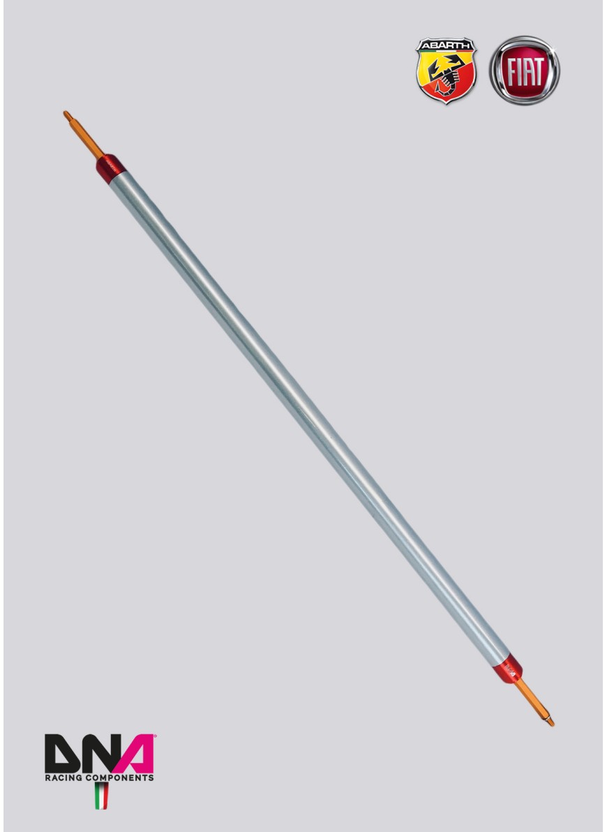 ABARTH 500 REAR STRUT BAR NO TIE RODS KIT WITHOUT REAR SEAT REMOVAL - DNA RACING - Abarth Tuning