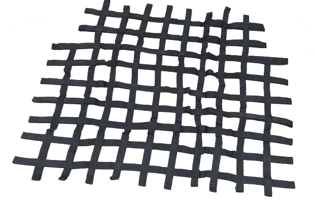 Genuine Abarth Race Cage Netting - 500 Abarth Biposto - Abarth Tuning