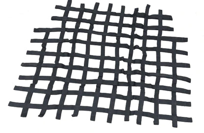 Genuine Abarth Race Cage Netting - 500 Abarth Biposto - Abarth Tuning
